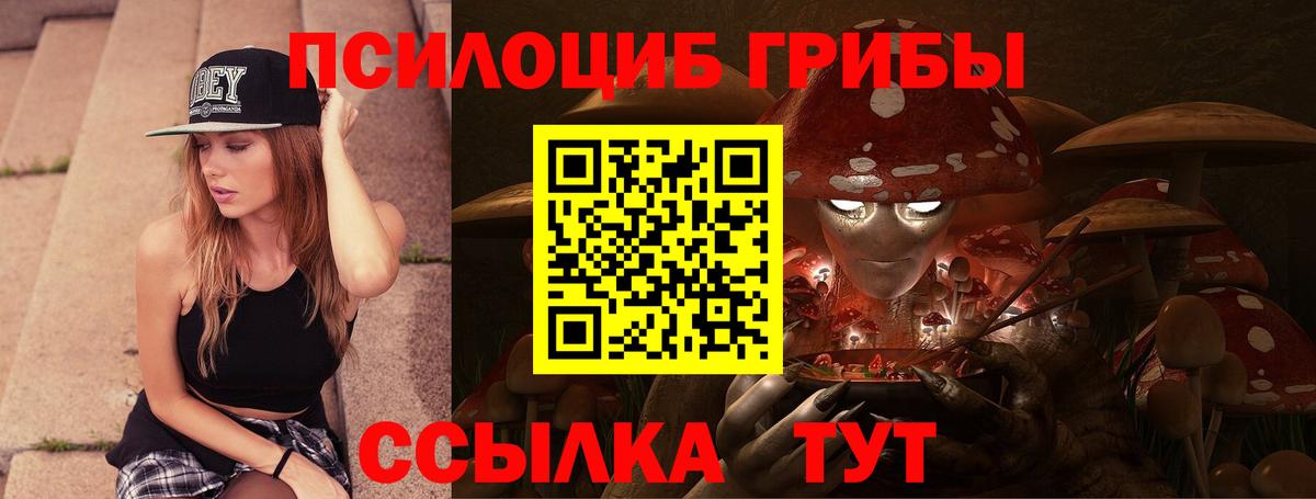 Светлоград  Псилоцибиновые грибы мицелий  Вход с VPN 