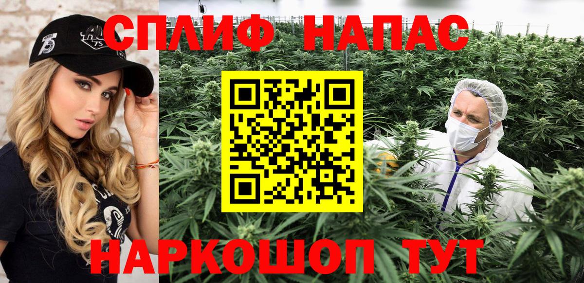 Конопля марихуана Светлоград